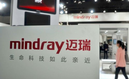 電子產品銷售龍頭獲青睞，下半年北上資金增持前15強出爐，兩股獲增持超百億